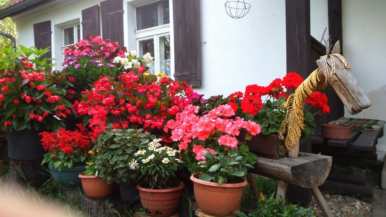 Zajazd Bonanza Jedrzychowice  Exterior foto